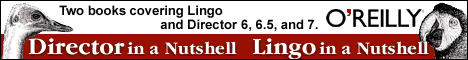 Lingo in a Nutshell and Director in a Nutshell banner